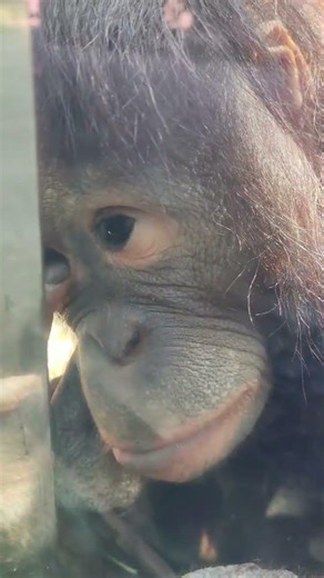 Morning Eye Goo Remover: My Daily Must-Do