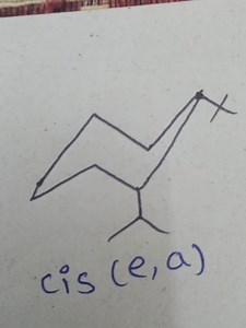 The image shows a cyclohexane chair conformation with two subst... | Filo