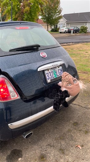 We really want to see you tomorrow at our 27th Annual Mt Angel Fire District Breakfast. if you find it too difficult to drive down to the fire station between 7 AM and 11:30 AM we'll come get you. | Mt. Angel Fire District