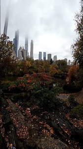 Central Park in Fall 2025 | Magical Autumn Walk Through New York City 4k #newyork #travel #NYC2025