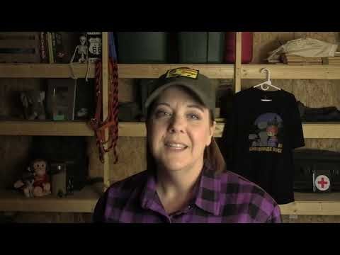 Let's talk about a 25th Amendment Commission being set up for Trump....