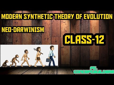 MODERN SYNTHETIC THEORY OF EVOLUTION | NEO-DARWINISM | BIOLOGY|ZOOLOGY | CLASS 12| BOARD PATTERN