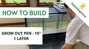 Watch Partridge Cage - 1 Layer ﹙Assembly - Hatching Time﹚ Cimuka on Amazon Live