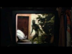 In the movie Signs (2002) the alien in the birthday party scene is camouflaged in the alley.