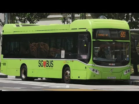 [視聴者提供] Photos by Anonymous Friend - SG3027S 65, Volvo B5LH MCV Evora (Bedok Reservoir Road にて)