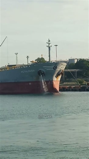 Ballast Water: How Cargo Ships Accidentally Spread Invaders Across Oceans