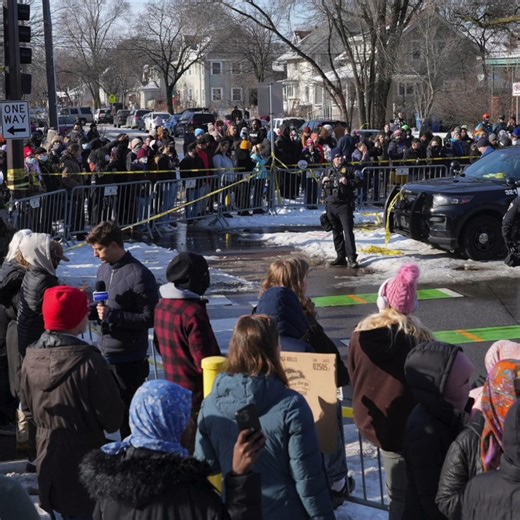 ICE agents shoot and kill 37-year-old woman in Minneapolis | The Daily Moth