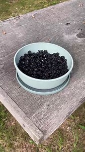 Lækker og nem brombærcrumble. Opskriften er testet af redaktionen - og den kan anbefales 🤤 Du skal bruge: - 500 g brombær (friske eller frost) - 2 dl sukker - 2 dl grovvalsede havregryn - 1 dl hvedemel - 120 gram smør - 1 tsk vaniljesukker - En smule salt Sådan gør du: - Hak mandler og skær smør i tern - Kom alle ingredienserne undtagen brombær i en skål og bland crumblen til en fast masse - Kom brombær i et fad - Dæk brombærrene med crumblen - Bag kagen i ovnen ved 175 grader alm. ovn i 30 min