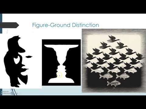 Gestalt Principles of Perception