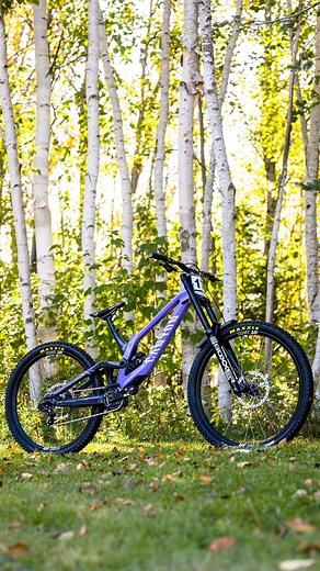 Canyon Bicycles on Instagram: "Spotted: @canyon Sender CFR LTD 👀 A replica build of our @clltv_mtb Factory Team’s race bike is now available. Feat. the latest @rockshox BoXXer Ultimate fork, @srammtb drivetrain and brakes, and a drool-worthy purple colourway. Built for speed, this downhill machine is all about chasing those green splits and dominating the hot seat. 🔥💺 #MyCanyon #CLLCTV #CanyonSenderCFR #SRAMMTB #RockShox #MTB #Bike"