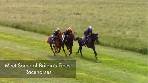 ROYAL ASCOT GIVEAWAY ✨ To celebrate the return of #RoyalAscot, Harrogate Spring Water are offering you the chance to win an unforgettable Wellness Break in the breathtaking Yorkshire Dales… Plus an exclusive visit to the home of Mark Johnston, one of Britain’s leading trainers. Enter here 👉 http://www.harrogatespring.com/royalascot/ | Ascot Racecourse