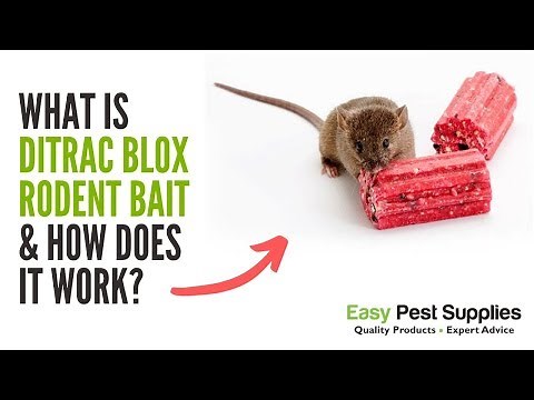 What Is Ditrac Blox Rodent Bait & How Does It Work?