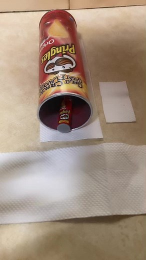 #justforfun #foryourpage #fypforyou #pringles #😁