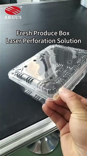 Laser Perforation for Fruit & Vegetable Packaging Boxes