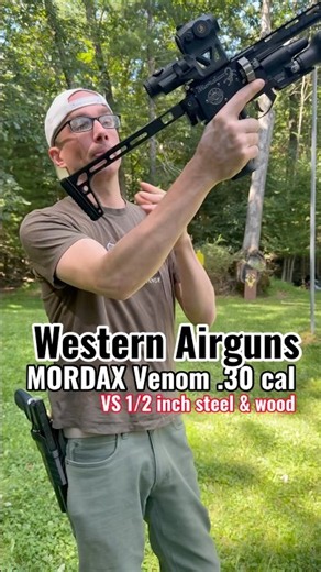 Mordax venom .30 cal airgun VS steel and wood