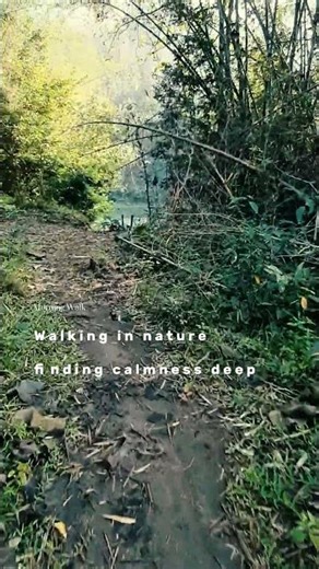 Dark Forest Path That Tests Your Fear#nature #villagelife #shorts