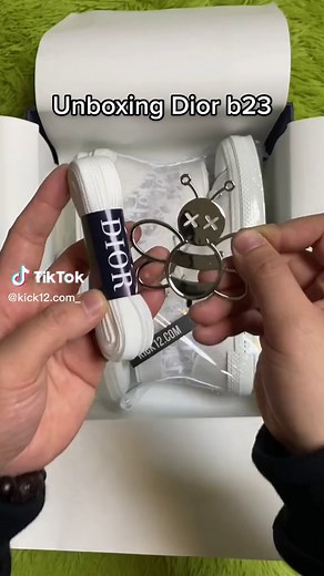 Dior B23 Shoes Unboxing | Sneaker Review