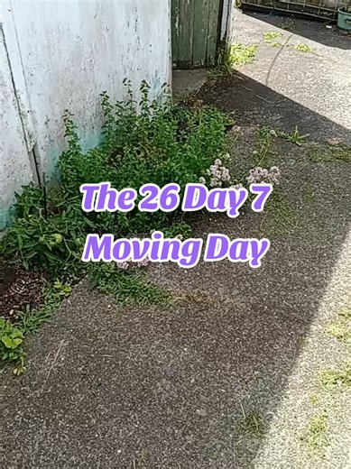 The 26 Day 7: Embracing Moving Day Challenges