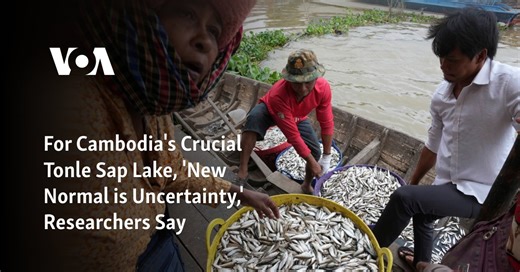 For Cambodia's Crucial Tonle Sap Lake, 'New Normal is Uncertainty,' Researchers Say