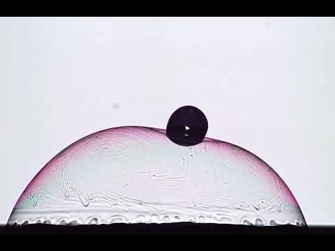 Marangoni Effect - Bubble pop in Telecentric Light