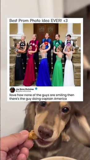 The Captain America Guy Ruined This Prom Photo 🦸‍♂️📸 #memes #funny #pets