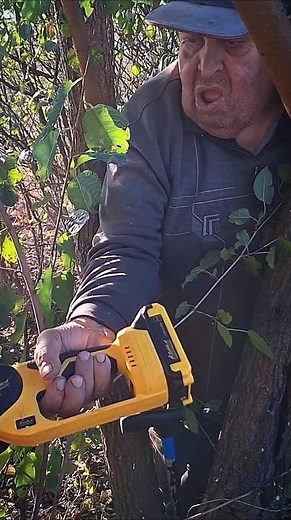 How to Clear an Overgrown Garden with Trees and Brush #gardentips #gardeningtips #treeremoval