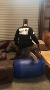 Dual dog training action at SCK9! | Southern Coast K9