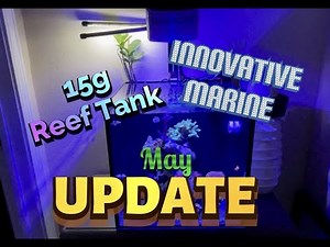 5/5 UPDATE| Innovative Marine Nuvo Fusion 15 Gallon| Simple Reef| Budget Friendly|