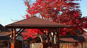 Le 25 Canzoni Jazz più belle di tutti i tempi - Pescini.com