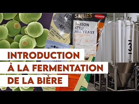 Introduction à la fermentation de la bière I Glycolyse, température et contrôle de fermentation