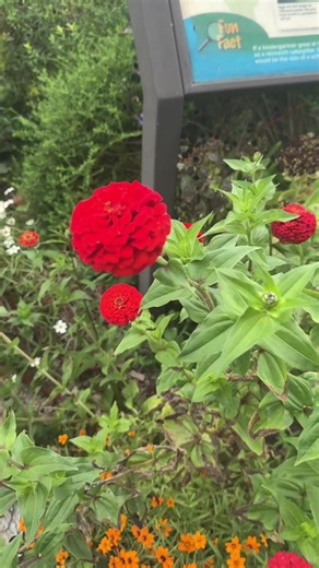 Essential Listening Skills for Effective Communication