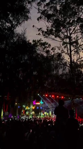 White birds fly 🤍 @IИTHƎMOMƎИT 🍃 @YEDIKULE ♥️ #fypシ #inthemoment #nuwaraeliya