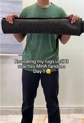 My Hero Academia Fan Art and TikToks Collection