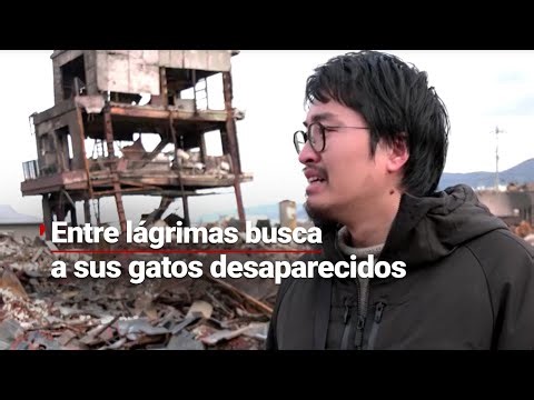 Entre LÁGRIMAS, artesano japonés busca a sus gatos | Desaparecieron tras el SISMO