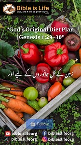 1.7K views · 81 reactions | "And God said, I have given you every...