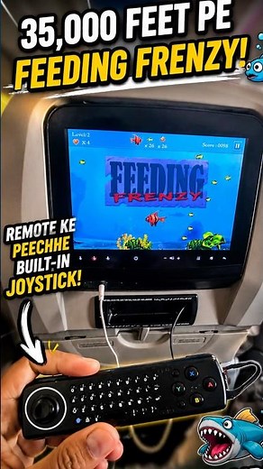 Playing Feeding Frenzy at 35,000 Feet in Airplane✈️🐟
