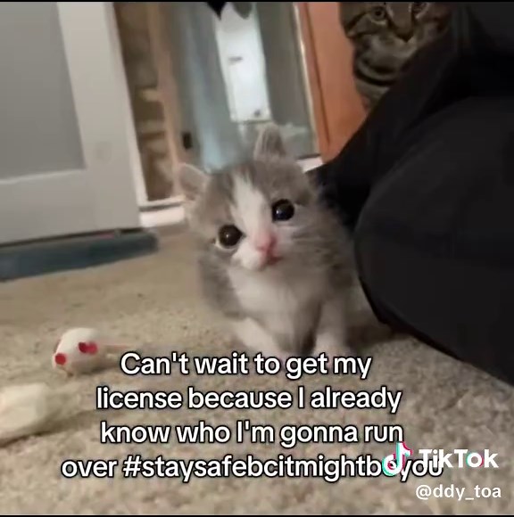 #meme | vanya and five car scene meme