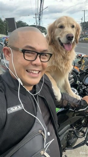 My co-pilot has four legs and zero worries.”#reels #adventure