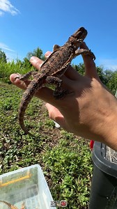 Sarap mag-chill habang soaking up ang BD's natin ng uv rays ni Haring Araw! | Schizo-Pelma Ph