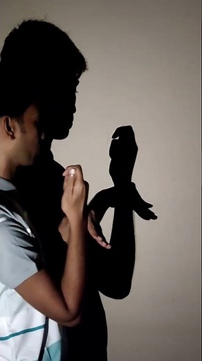 How to Make a Bird Shadow Puppet | Tutorial #handshadow #drawing #art