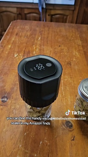 Dehydrating Feijoas for Healthy Snacks | Homesteading Tips