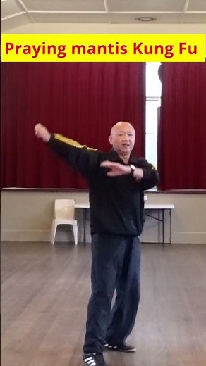 Unleashing the Praying Mantis: Practical Applications of Mantis Fist