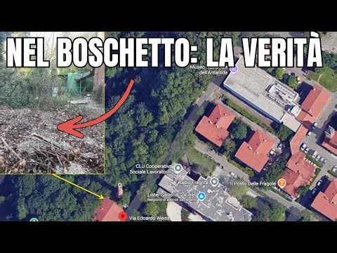 Caso Resinovich Sopralluogo nel boschetto con Edi Sanson La verità che non torna di Angelo Marotta