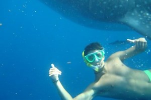 Mergulho vs snorkeling - diferença e comparação - Blogue 2026