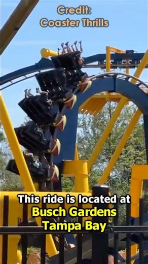 Montu is an INCREDIBLE Inverted Coaster (Coaster of the Day 11/08/25)