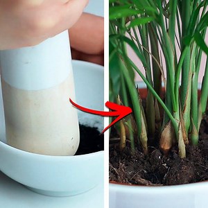 1.7M views · 1.5K shares | DIY life hacks to live a better life! | Crafty Panda | Facebook