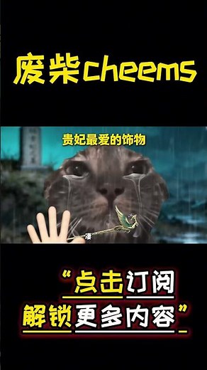 此恨绵绵无绝期… #cheems #爱情 #搞笑 【废柴cheems】