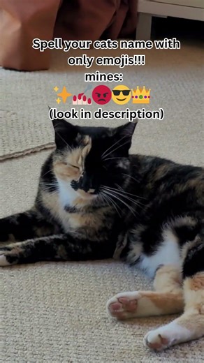 Spell your cats name with only emojis trend!!!