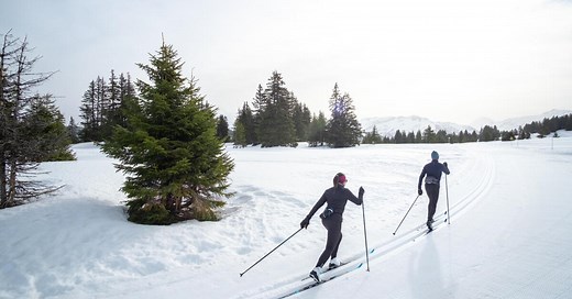 Guide d'entretien des skis de fond à écailles et à peaux