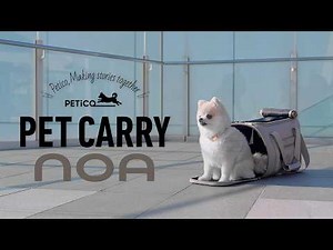 いつも一緒を かなえる コンパクトなダッフルタイプのペットキャリーPETiCO NOA（ノア）